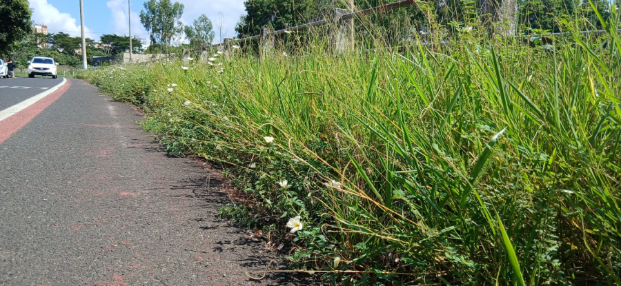 Fernandópolis-SP nasceu aqui  e está sendo esquecida: 